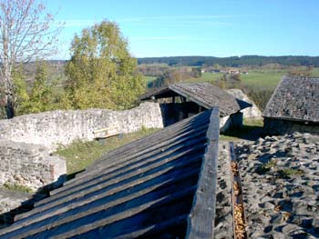 10-Bergfriedblich